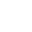 lock icon